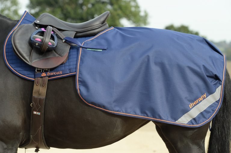Bucas Therapy Quarter Sheet - Country Ways