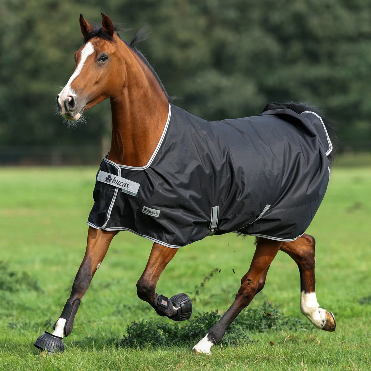 Outdoor Blanket Bucas Turnout Extra 300g | La sellerie de Maé Outdoor Blanket Bucas Turnout Extra 300g | La sellerie de Maé