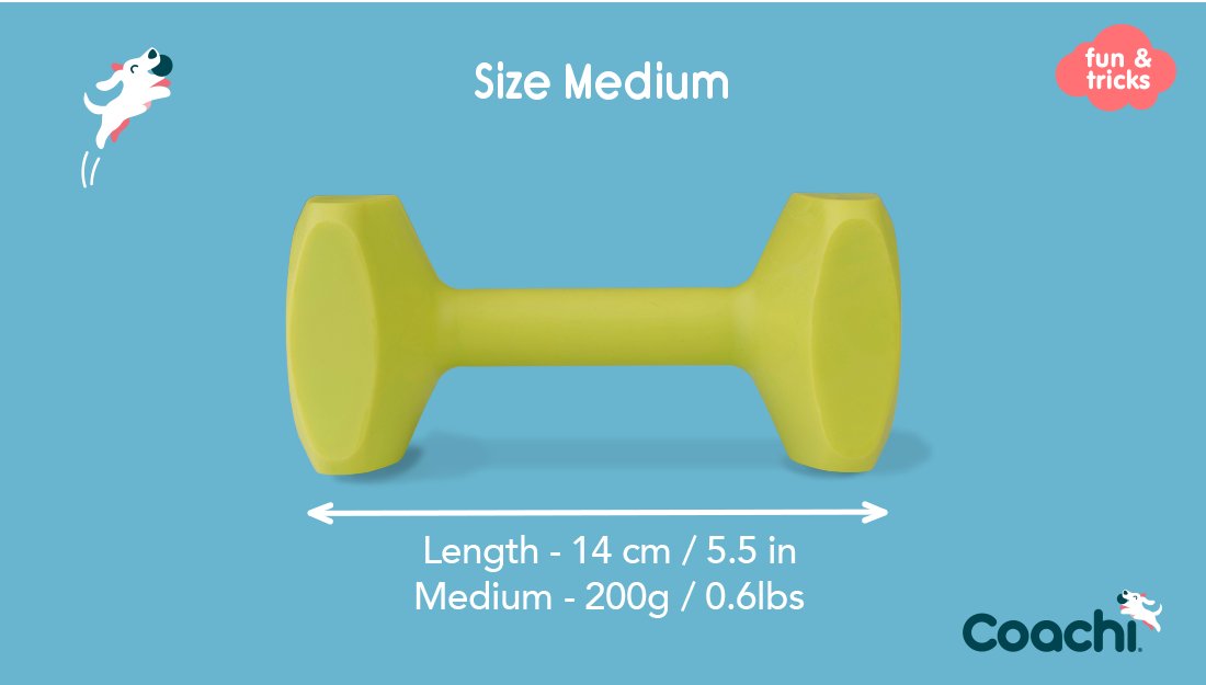 Coachi Dog Training Dumbbell - Country Ways