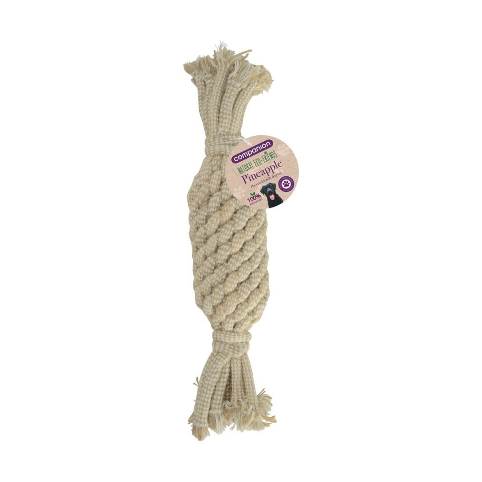 Companion Natural Eco - Friends Pineapple Shaped Dog Toy - Country Ways