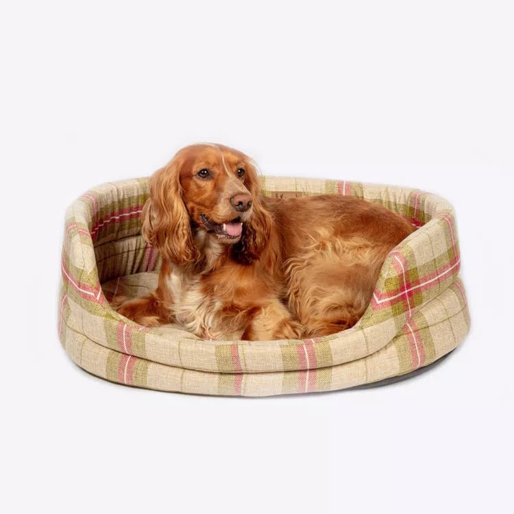 Danish Design Newton Slumber Bed - Moss - Country Ways