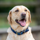 Digby & Fox Tweed Dog Collar - Country Ways