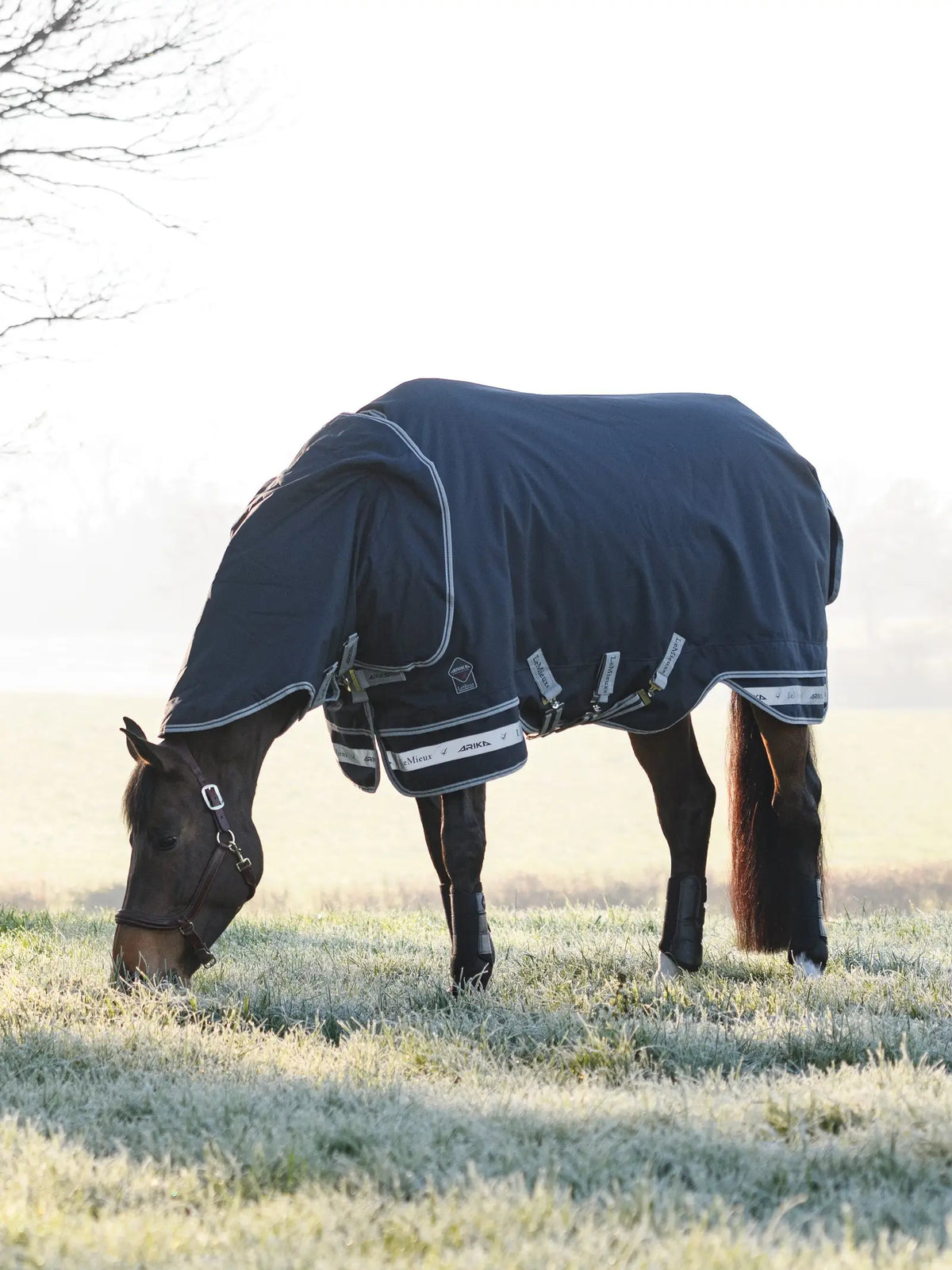 LeMieux Arika Storm-Tek Rug 100g