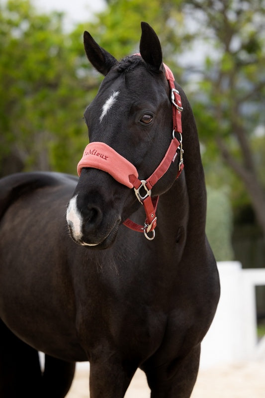 LeMieux Vogue Headcollar & Leadrope AW26