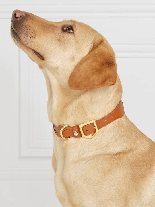 Fairfax & Favor Tetbury Dog Collar - Country Ways