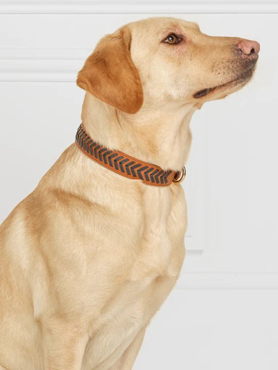 Fairfax & Favor Tetbury Dog Collar - Country Ways