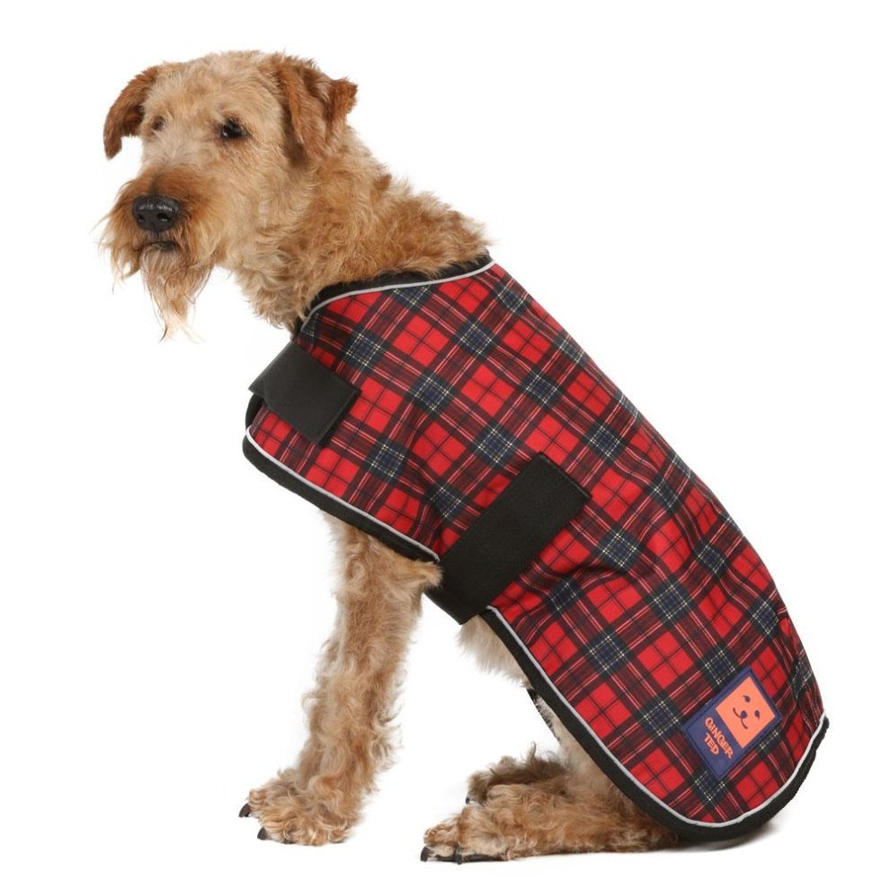 Ginger Ted Firefoot Shower Dog Coat - Country Ways
