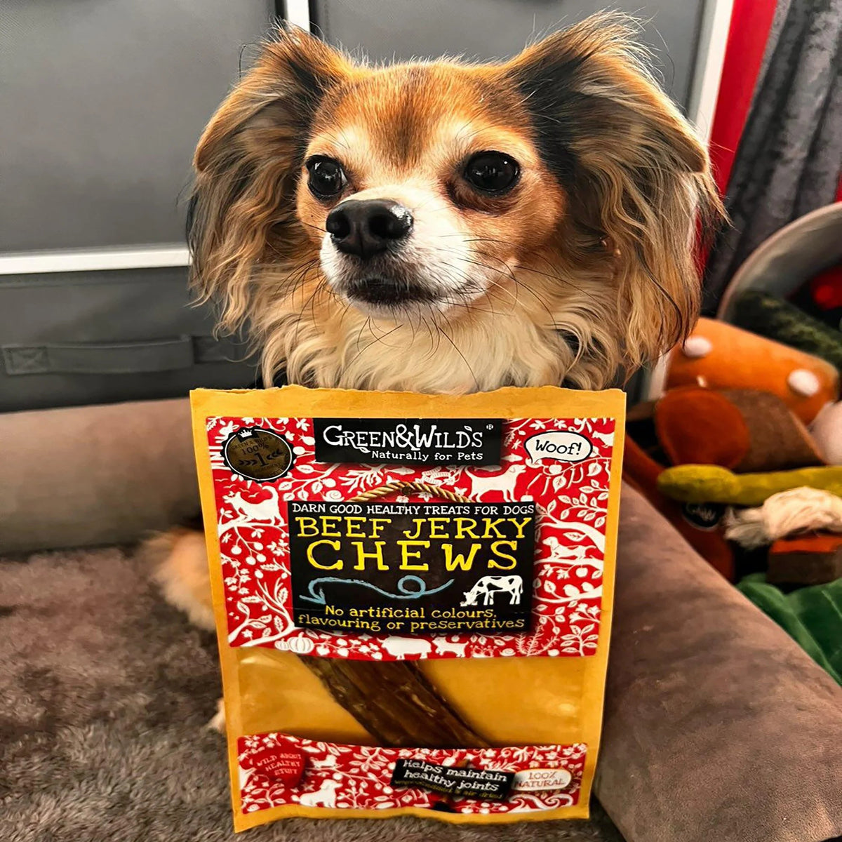 Green & Wild's Beef Jerky Chews - Country Ways