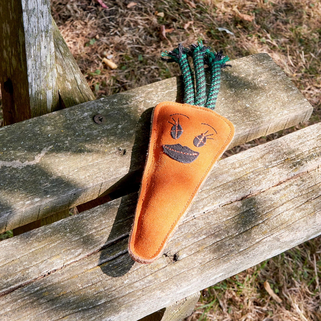 Green & Wild's Candice the Carrot Eco Dog Toy - Country Ways