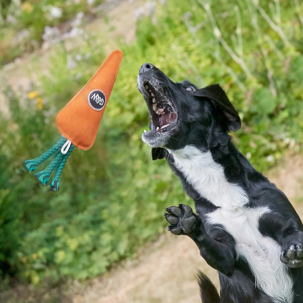Green & Wild's Candice the Carrot Eco Dog Toy - Country Ways