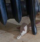 Green & Wild's Mike the Mouse Eco Dog Toy - Country Ways