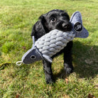 Green & Wild's Roger the Ropefish Eco Dog Toy - Country Ways