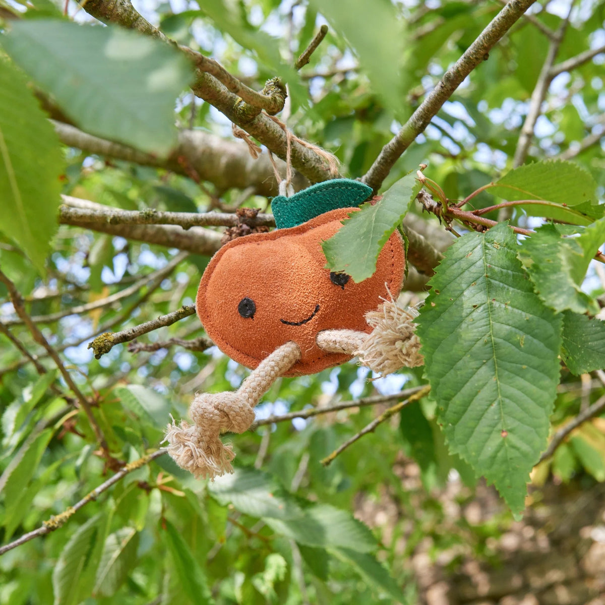 Green & Wild's Sancho the Satsuma, Eco Toy - Country Ways