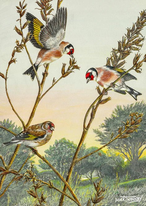 Greeting Card - Goldfinches by Dick Twinney - Country Ways