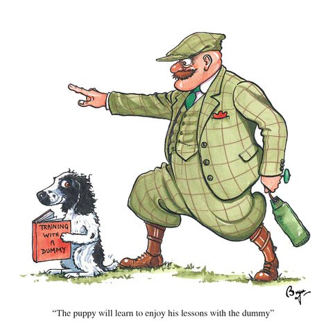 Greeting Card - Lessons With A Dummy by Bryn Parry - Country Ways