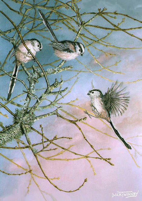 Greeting Card - Long - Tailed Tits by Dick Twinney - Country Ways