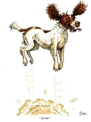 Greeting Card - Springer by Bryn Parry - Country Ways