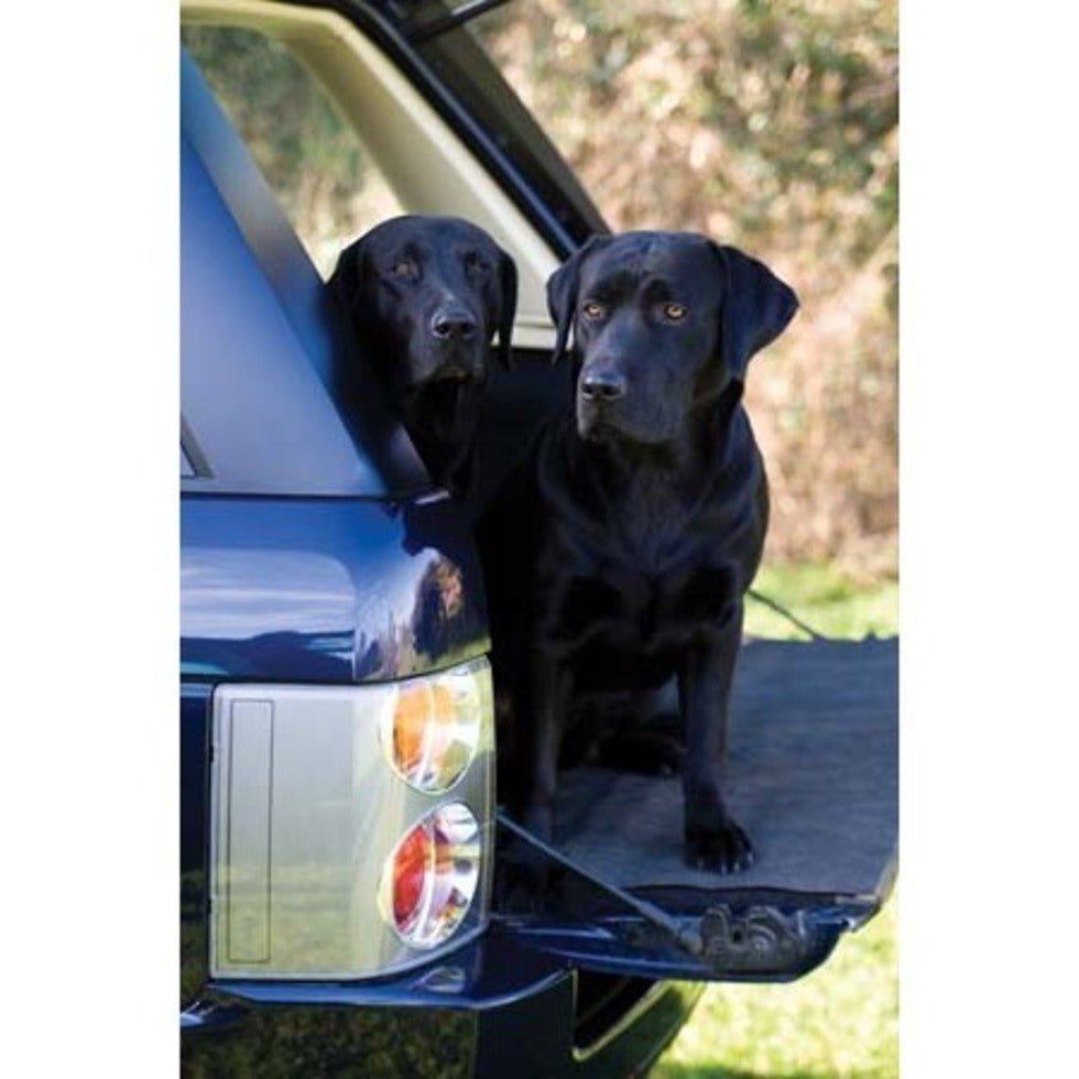 Greeting Card - Working Dogs by Charles Sainsbury - Plaice - Country Ways