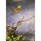 Greeting Card - Yellowhammer & Gorse by Dick Twinney - Country Ways