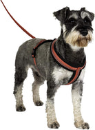 Halti Comfy Dog Harness - Country Ways