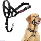 Halti Dog Headcollar - Country Ways