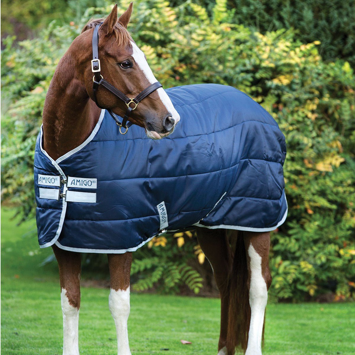 Horseware Amigo 200g Insulator Medium Stable Rug - Country Ways