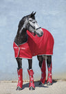 Horseware Amigo Jersey Cooler - Country Ways