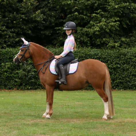 HY Dazzling Dream Saddle Pad - Country Ways