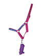 Hy Equestrian Thelwell Collection Race Head Collar and Lead Rope - Country Ways