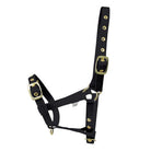 HY Foal Headcollar - Country Ways