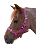 Hy Holly Fully Adjustable Head Collar - Country Ways