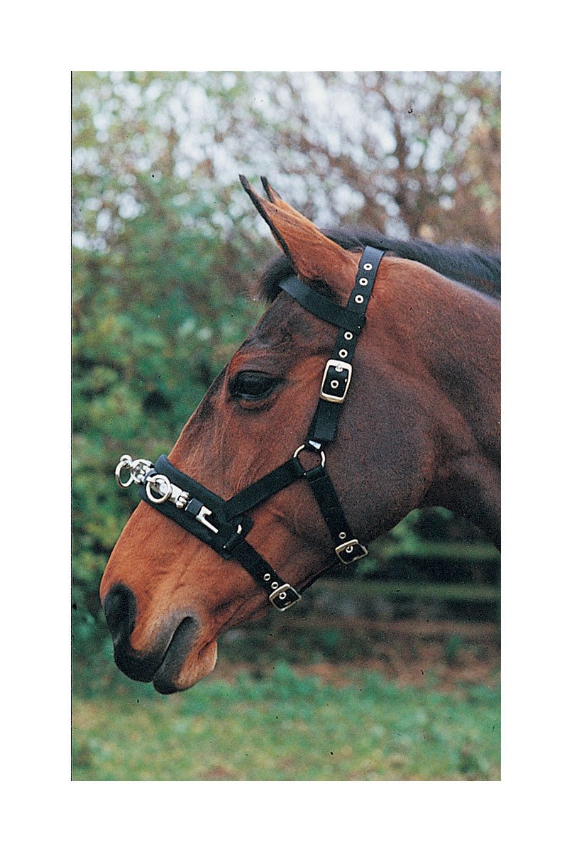 Hy Lunge Cavesson Full - Country Ways