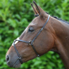 Hy Mexican Grackle Nose Band - Country Ways
