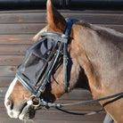 Hy Riding Fly Mask - Country Ways