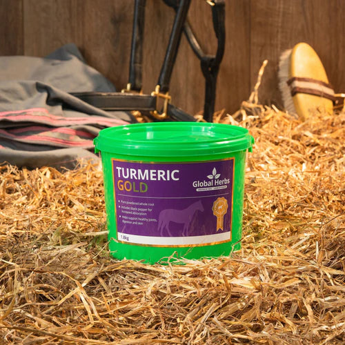 Global Herbs Turmeric Gold