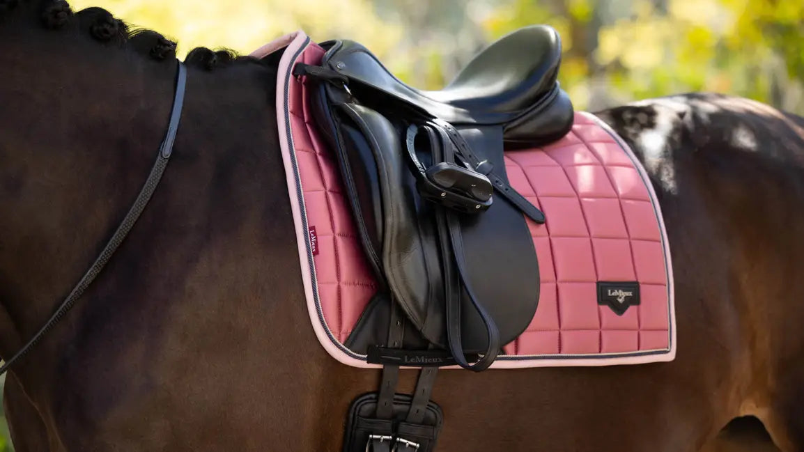 LeMieux Loire Classic Dressage Square SS25