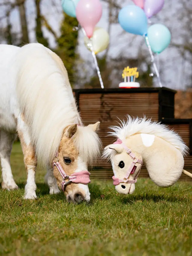 LeMieux X World Horse Welfare Hobby Horse Lemon