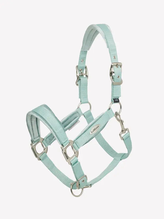 LeMieux Versailles Headcollar & Leadrope SS25