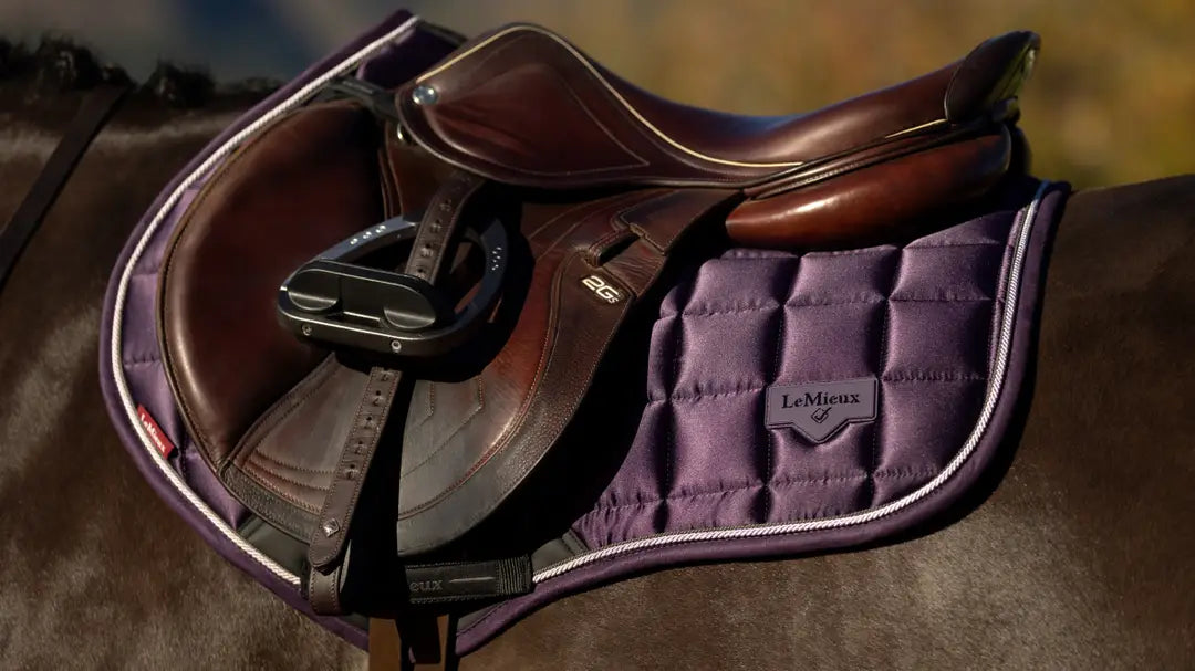 LeMieux Loire Classic Close Contact Square AW25