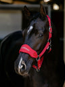 LeMieux Breakaway Vogue Headcollar & Leadrope