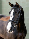 LeMieux Arika Classique Flash Bridle