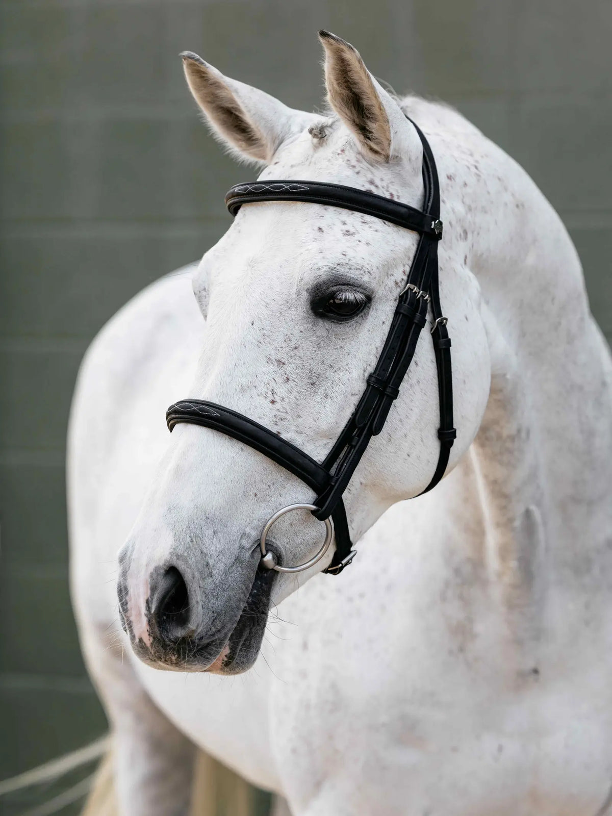 LeMieux Arika Classique Cavesson Bridle