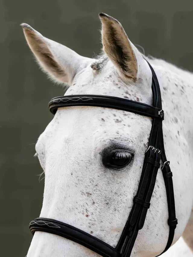 LeMieux Arika Classique Cavesson Bridle