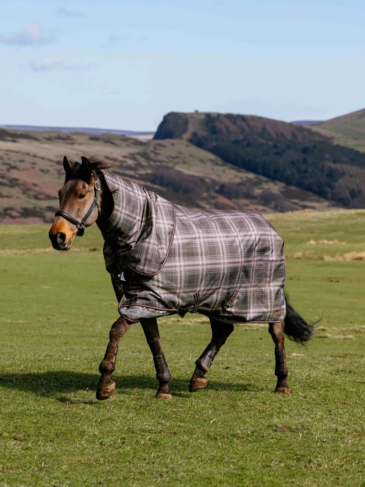LeMieux Arika Heritage Check 200g Turnout Rug