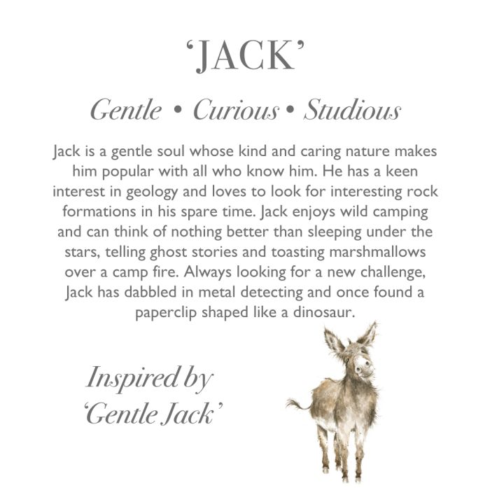 Wrendale 'Jack' Donkey Plush Character
