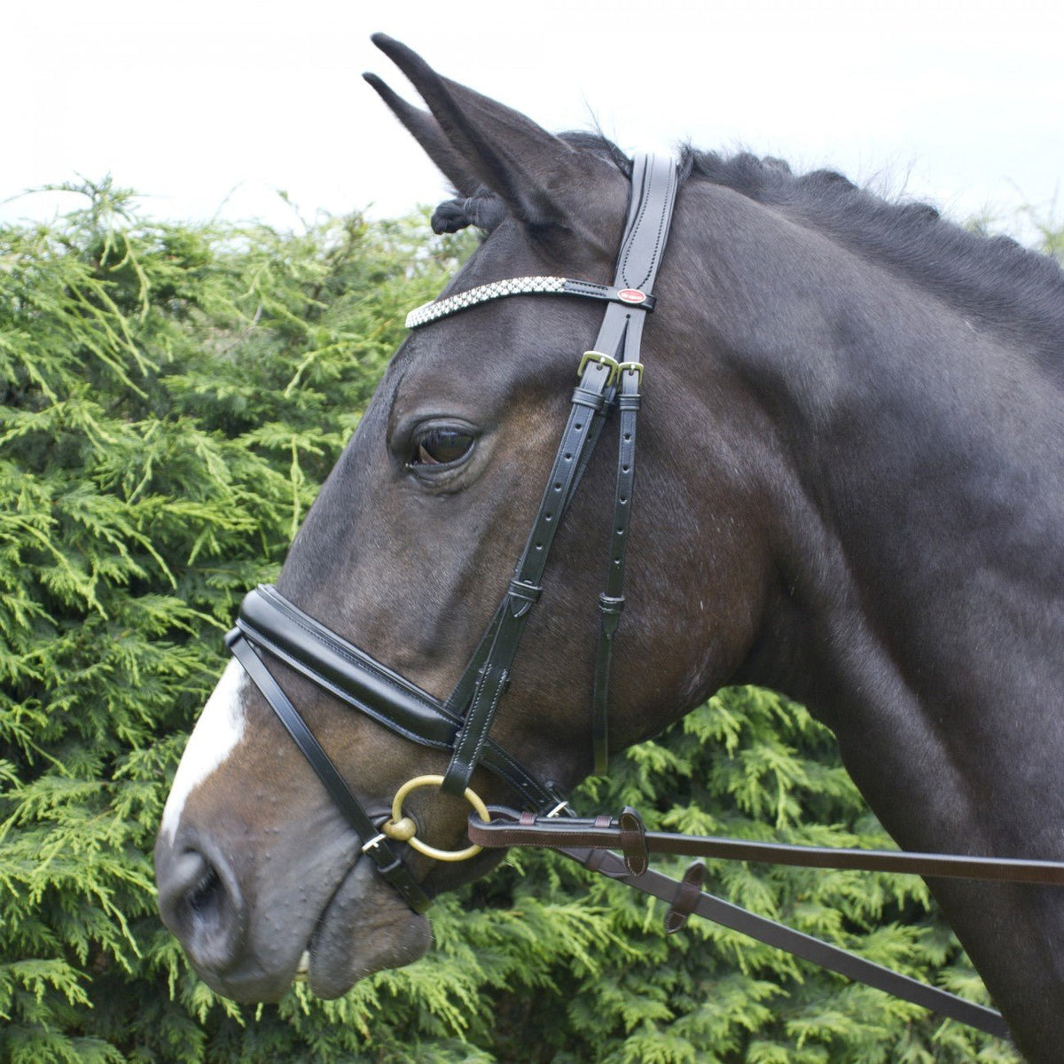 John Whitaker Barton Bling Flash Bridle - Country Ways