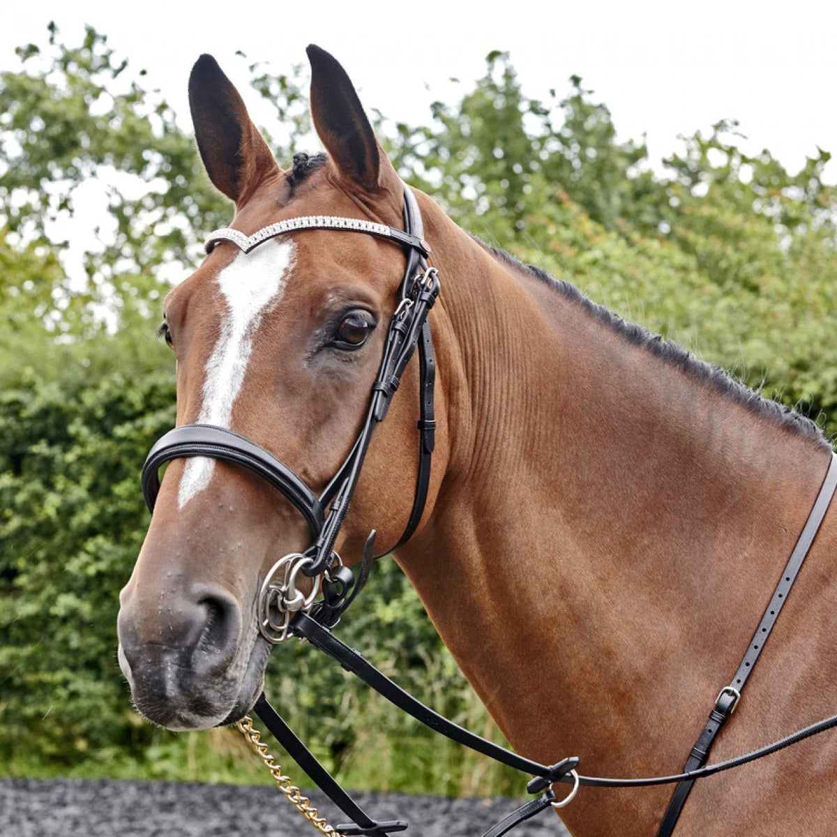John Whitaker Lynton Snaffle Bridle - Country Ways