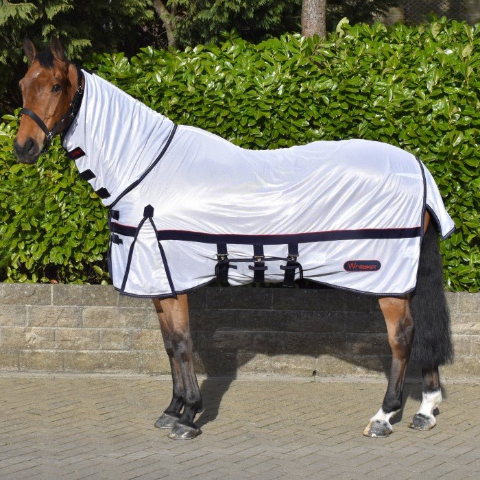 John Whitaker Rastrick Fixed Hood Fly Rug - Country Ways