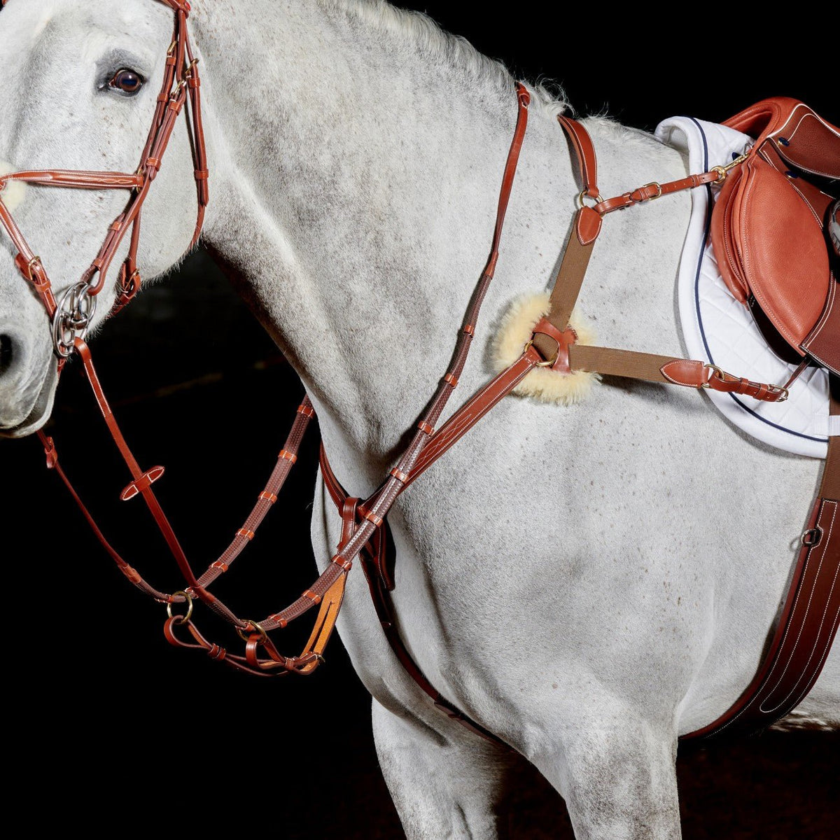 John Whitaker Valencia 5 Point Breastplate - Country Ways