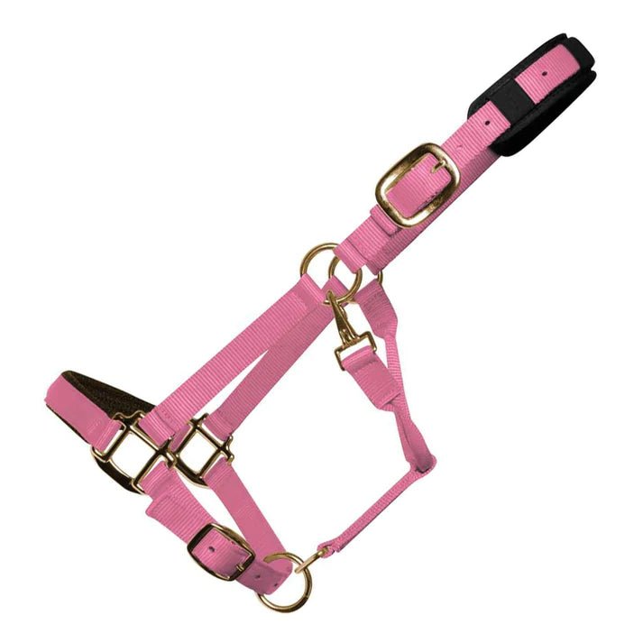 Km Elite Padded Headcollar Assorted Colours Large - Country Ways